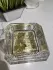 Ex Nihilo Gold Immortals