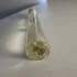 Ex Nihilo Gold Immortals pic-322094