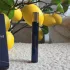 Ex Nihilo Lust in Paradise Extrait pic-328327