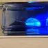 Ex Nihilo Blue Talisman pic-346137