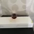 Ex Nihilo Oud Vendome pic-92602