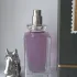 Aurora Scents Rodeo