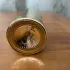 Premiere Note Tasman Santal pic-346060