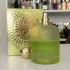 Emir Pear Potion