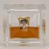 David & Victoria Beckham Intimately Beckham Men pic-401334