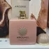 Amouage Guidance