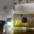 Amouage Portrayal Men pic-126467