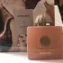 Amouage Guidance