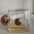 Amouage Dia Woman