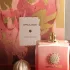 Amouage Guidance 46