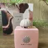 Amouage Guidance