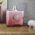 Amouage Guidance 46