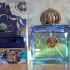 Amouage Figment Woman pic-90455