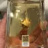 Amouage Jubilation XXV Man pic-99510