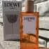 Loewe Solo Loewe Ella  Eau de Parfum pic-117253