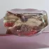 Loewe Quizas, Quizas, Quizas Passion pic-133343