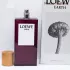 Loewe Botanical Rainbow Earth pic-136756
