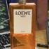 Loewe Solo Loewe Ella  Eau de Parfum pic-166998