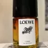 Loewe Paula`s Ibiza Cosmic pic-171039