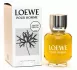 Loewe Pour Homme pic-175379