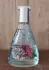 Loewe Agua de Loewe Mar de Coral pic-175819