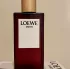 Loewe Botanical Rainbow Earth pic-192405
