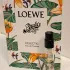 Loewe Paula`s Ibiza Eclectic