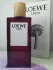 Loewe Botanical Rainbow Earth pic-230562