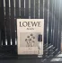 Loewe Agua de Loewe Ella
