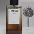Loewe Solo Elixir pic-256731