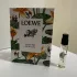 Loewe Paula`s Ibiza Eclectic