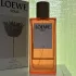 Loewe Solo Loewe Ella  Eau de Parfum pic-311034
