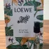 Loewe Paula`s Ibiza Eclectic