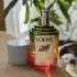 Loewe Paula`s Ibiza pic-338242