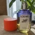 Loewe Paula`s Ibiza Eclectic pic-341170