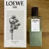 Loewe Aire Sutileza Elixir pic-379449