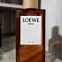 Loewe Solo Atlas pic-379836