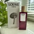 Loewe Botanical Rainbow Earth