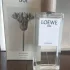 Loewe 001 Woman Loewe pic-68018