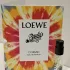 Loewe Paula`s Ibiza Cosmic pic-87379