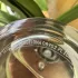 Byredo Parfums Bal d`Afrique
