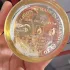 Penhaligon`s Peoneve