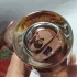 Penhaligon`s Babylon pic-38190