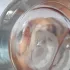 Penhaligon`s Elisabethan Rose 2018