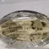 Diptyque L`Eau de L`Eau pic-585
