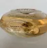 Martine Micallef Royal Rose Aoud