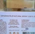 Martine Micallef Ylang in Gold pic-4523