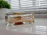 Martine Micallef Ylang in Gold pic-60069