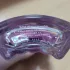 Tous L`Eau Eau De Parfum pic-961