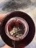 Juliette Has a Gun Lipstick Fever pic-147616
